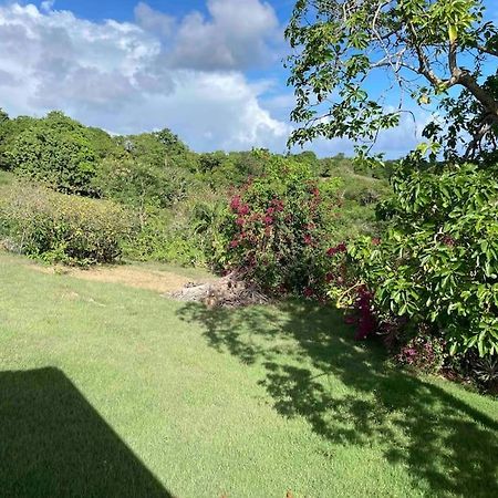 Magnifique Villa Sainte-Anne (Grande-Terre) Exterior foto